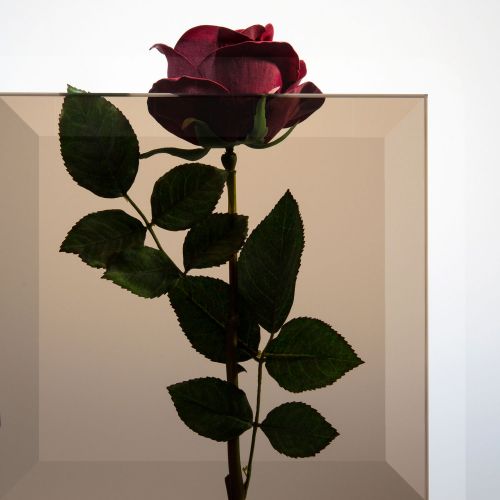 Parsol-Bronze Glas mit Facettenschliff  Vorschaubild #2