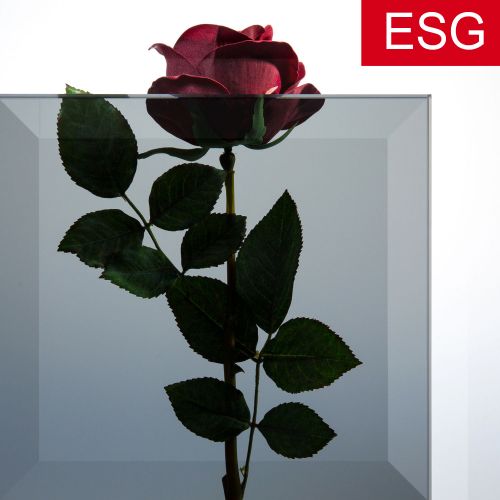 Parsol-Grau Glas mit Facettenschliff als ESG - Sicherheitsglas  Vorschaubild #2