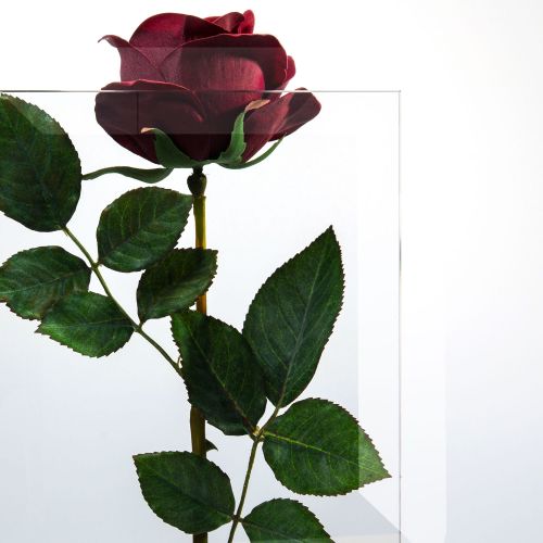 OptiWhite-Glas (Supertransparent) mit Facettenschliff  Vorschaubild #2